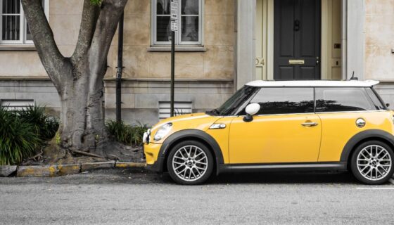 How to Store a Car without a Garage