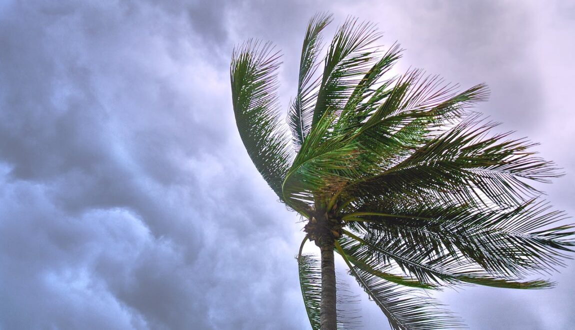 Understanding Wind Uplift Ratings for Metal Buildings